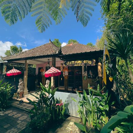 Homestay Sente Munduk Esterno foto