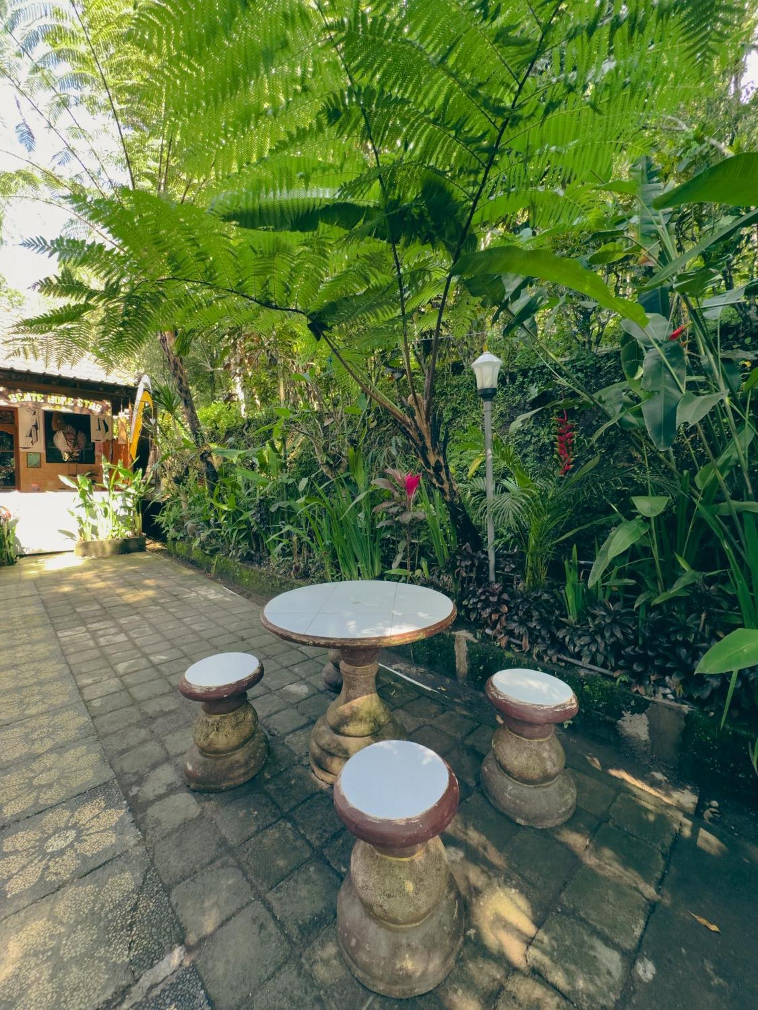 Homestay Sente Munduk Esterno foto