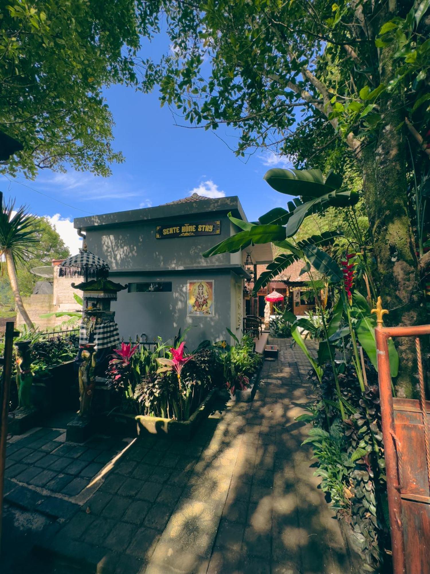 Homestay Sente Munduk Esterno foto